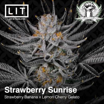 attitude usa lit farms strawberry sunrise 3_400x400.jpg