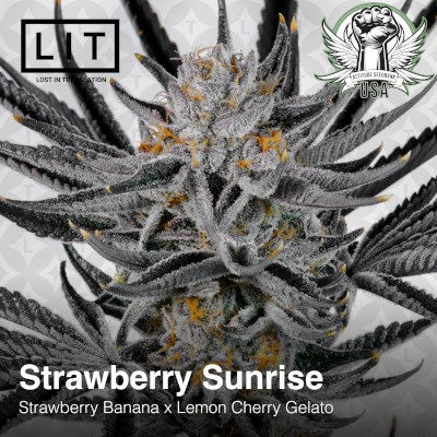 attitude usa lit farms strawberry sunrise 4_400x400.jpg