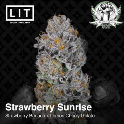 attitude usa lit farms strawberry sunrise 5_400x400.jpg