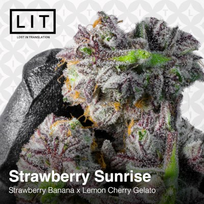 attitude usa lit farms strawberry sunrise 6_400x400.jpg