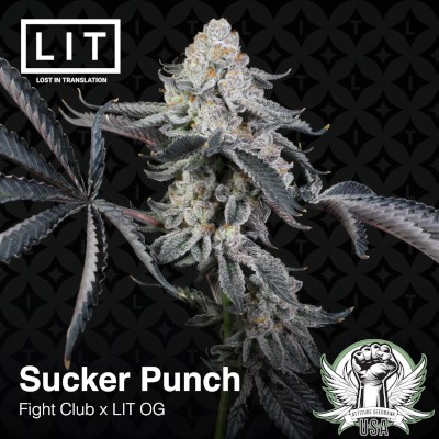 LIT Farms Seeds Sucker Punch