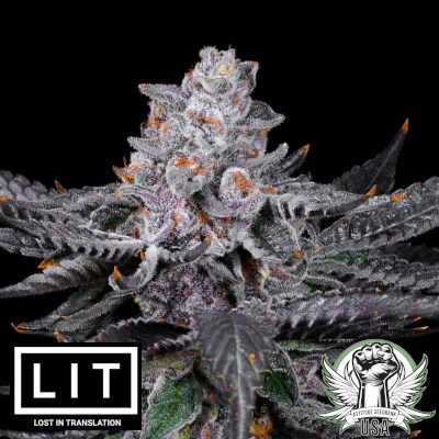 LIT Farms Seeds Zimosa