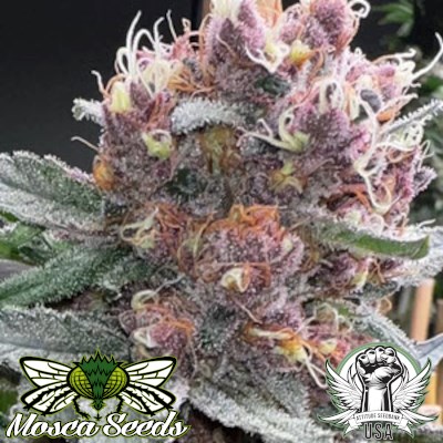 Mosca Seeds Shake-N-Bake