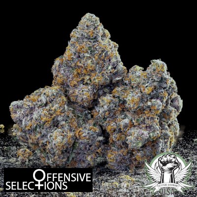 attitude usa offensive selections california 2_400x400.jpg