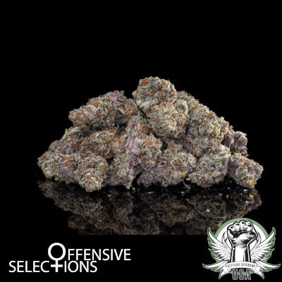 attitude usa offensive selections comatose 400x400_400x400.jpg
