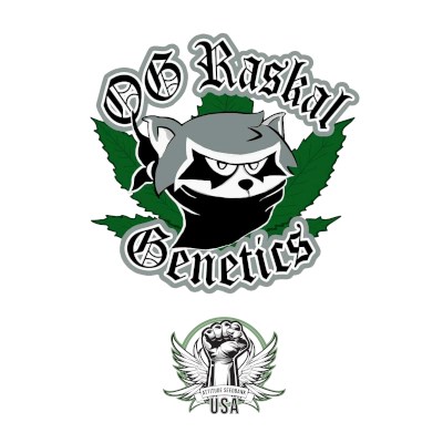 OG Raskal Seeds Sky Fire OG