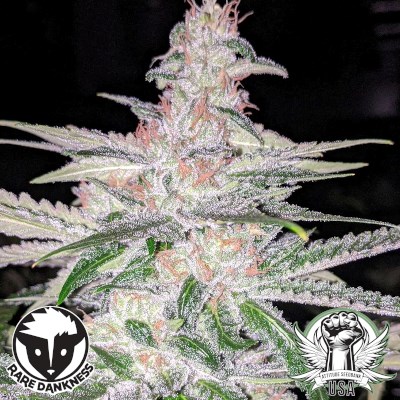 attitude usa rare dankness star killer haze 2_400x400.jpg