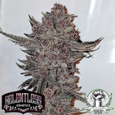 Relentless Genetics Seeds Divine Queen
