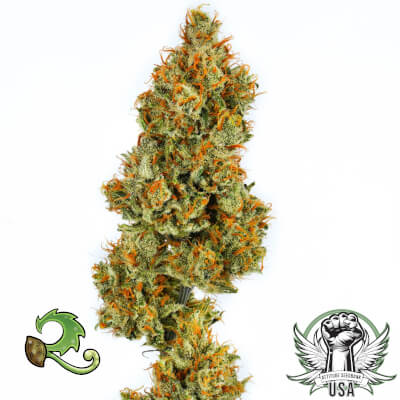 attitude usa relic seeds super silver haze 2_400x400.jpg