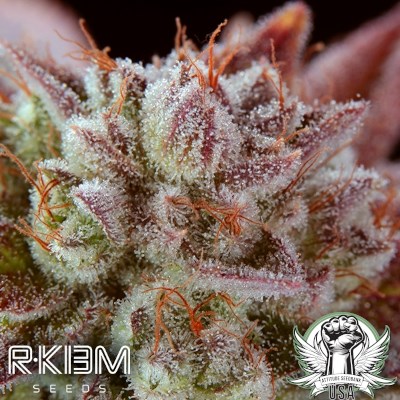 R-Kiem Seeds Sublimator
