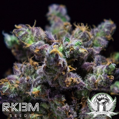 R-Kiem Seeds Z-Kiem AKA Harybo