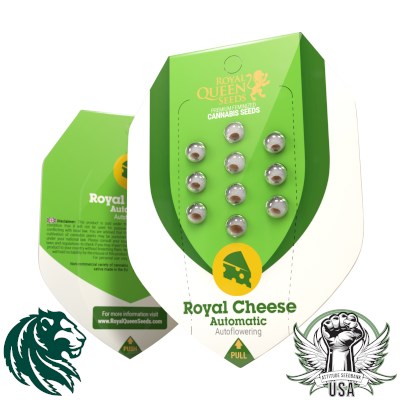 attitude usa royal queen royal cheese auto 3_400x400.jpg