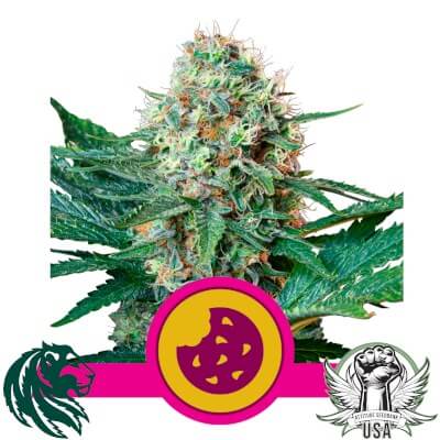 attitude usa royal queen royal cookies 1 400x400_400x400.jpg