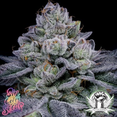 SinCity Seeds Blue Power IX2