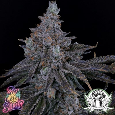 attitude usa sin city key lime pie s1 2_400x400.jpg