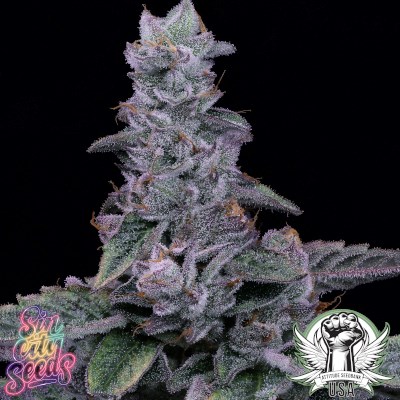 attitude usa sin city lime foot 3_400x400.jpg