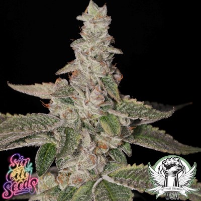 attitude usa sin city lime foot 4_400x400.jpg