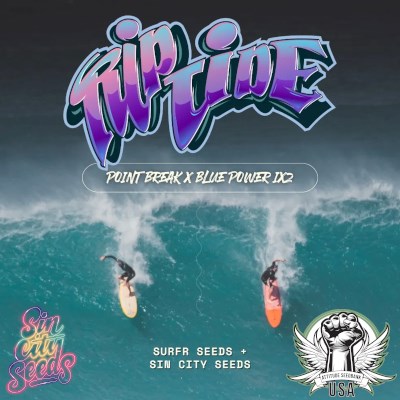 attitude usa sin city rip tide surfrseeds collab_400x400.jpg