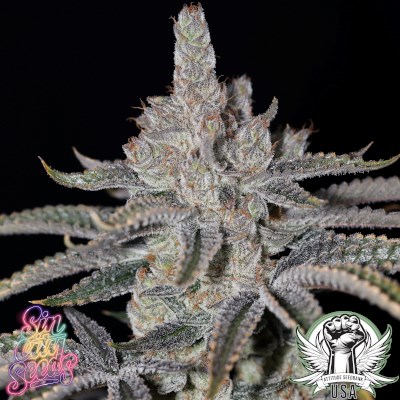 attitude usa sin city strawberry meringue 2_400x400.jpg