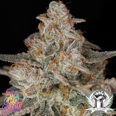 attitude usa sin city strawberry meringue 3_400x400.jpg