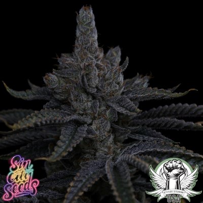 attitude usa sin city strawberry meringue 4_400x400.jpg