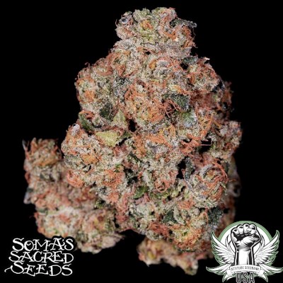 attitude usa soma seeds pink glue 2_400x400.jpg