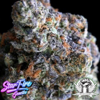 StarFire Genetix Seeds Purple Pop Rocks