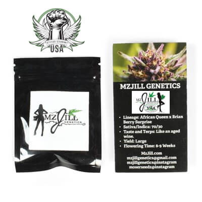 attitude usa tga mz jill seeds packaging_400x400.jpg