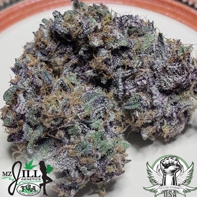 attitude usa tga mzjill chiroptera kush 4_400x400.jpg
