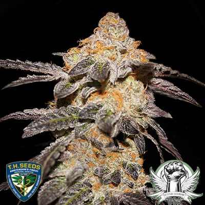 TH Seeds French Cookies (thseeds)