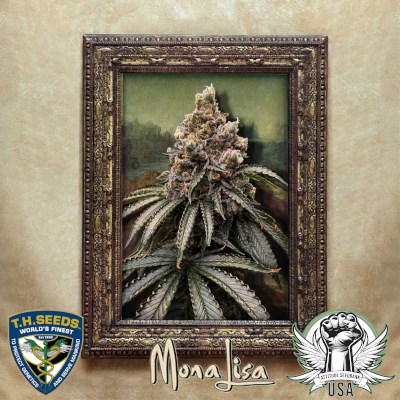 attitude usa th seeds mona lisa 2_400x400.jpg