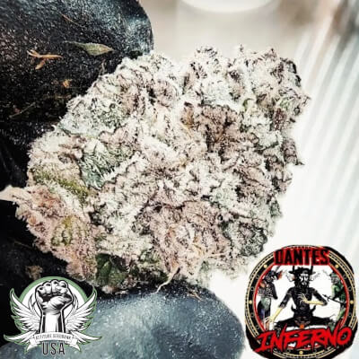 Tiki Madman Seeds Dante's Inferno