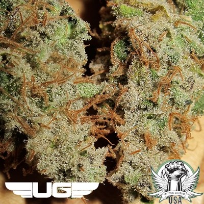 attitude usa ultra genetics sour grape kush s1 2_400x400.jpg