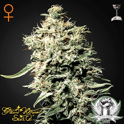 Green House Seeds White Rhino