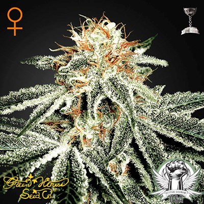 Green House Seeds White Widow