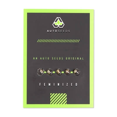 auto seeds packaging 400x400_400x400.jpg