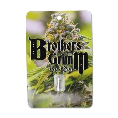 brothers grim seeds packaging 1 400x400_400x400.jpg