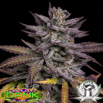 SubCool Seeds Deathstar Remixed