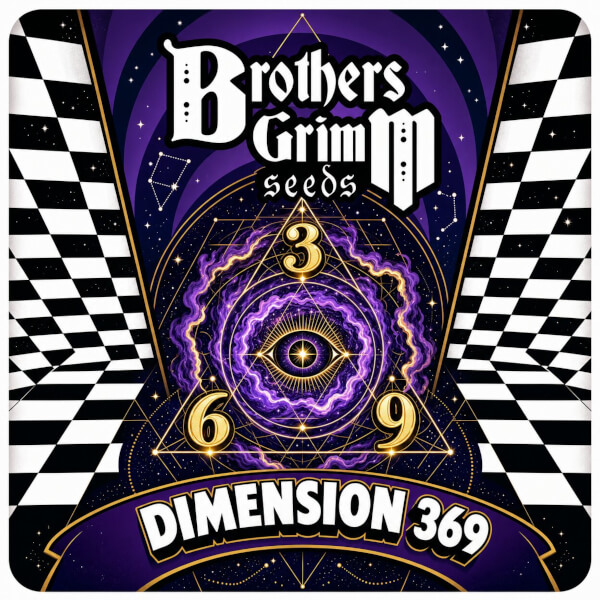 Brothers Grimm Seeds Dimension 369