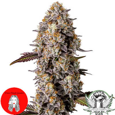 divine fatale lemon cherry gelato 400x400_400x400.jpg