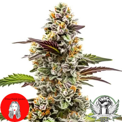 Divine Fatale Genetics Peanut Butter Cream