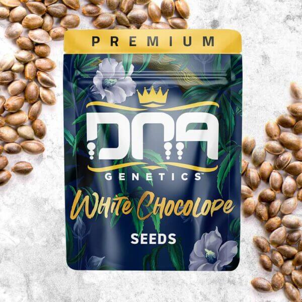 dna genetics white chocolope packaging 600x600._600x600.jpeg