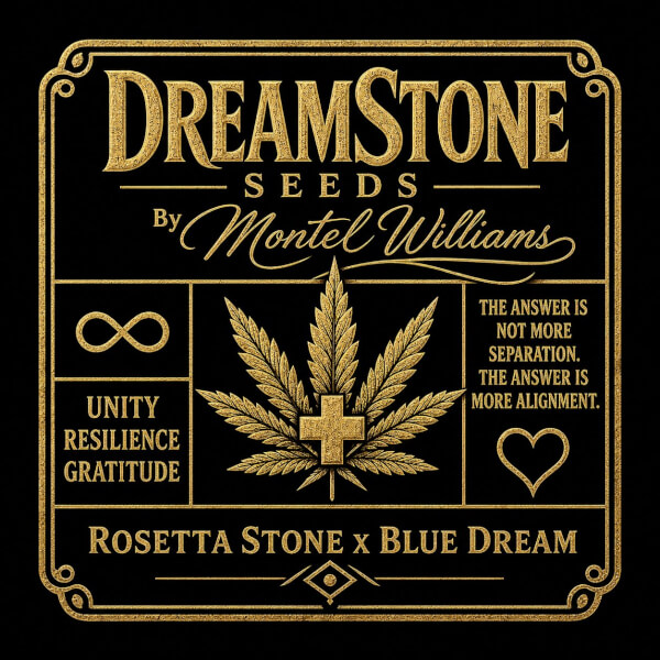 Brothers Grimm Seeds DreamStone