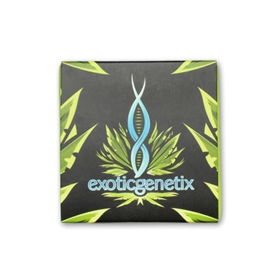 exotic genetix seeds packaging 400x400_400x400.jpg