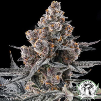 Compound Genetics Seeds Eye of JAH