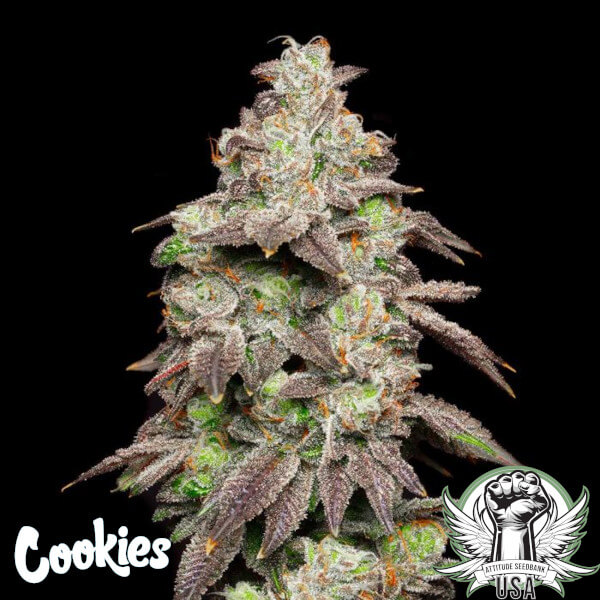 Cookies Seeds Fried Banana