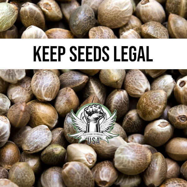 Attitude Seedbank USA | World's Largest Cannabis Seed Super Store