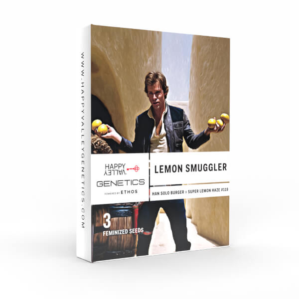 lemon smuggler 3_600x600.jpg