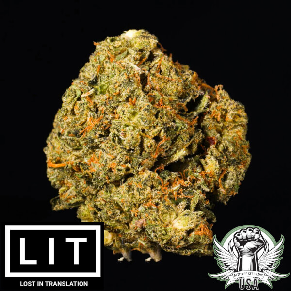 LIT Farms Seeds Candy Runtz