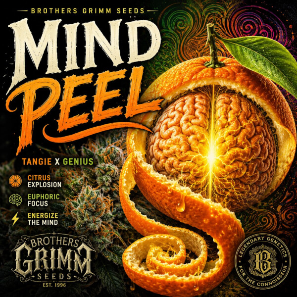 Brothers Grimm Seeds Mind Peel
